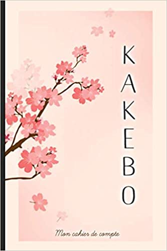 Dans mon Filofax #10: Mon Kakebo- Mon Récap des Dépenses du Mois